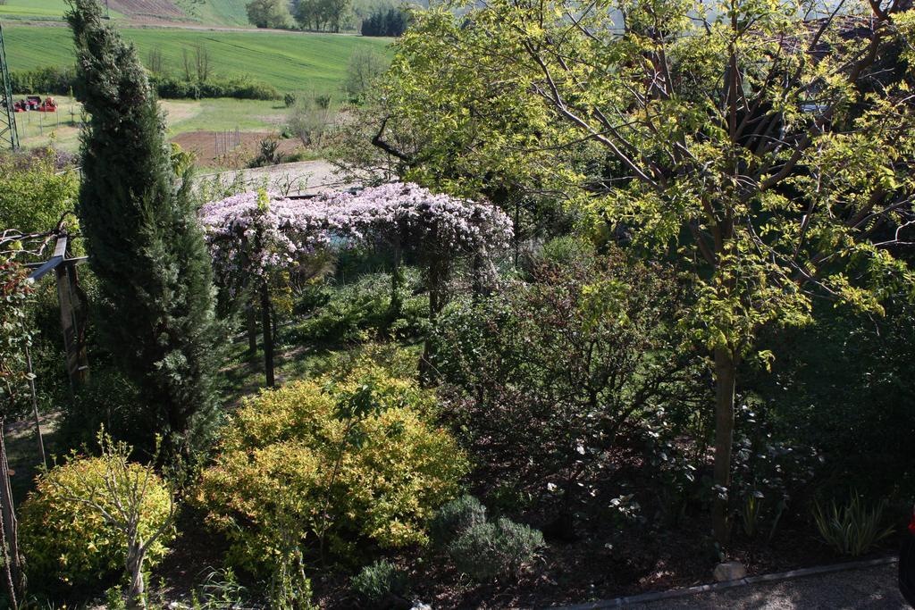 B&B La Casetta Villaromagnano Zewnętrze zdjęcie